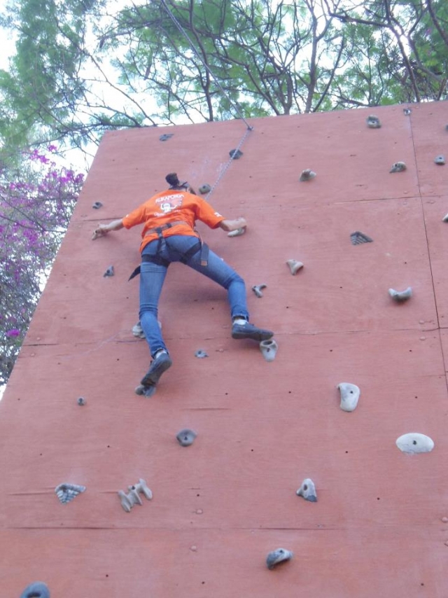 Cursos de como escalar